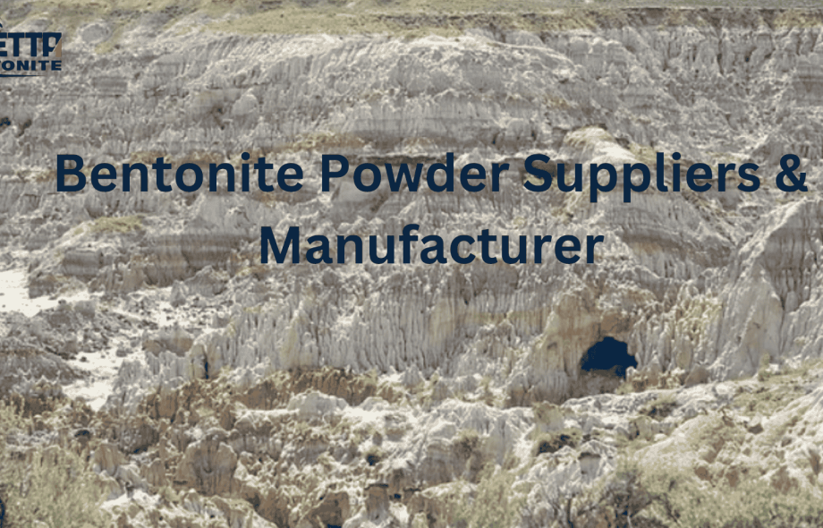 Bentonite Suppliers in India