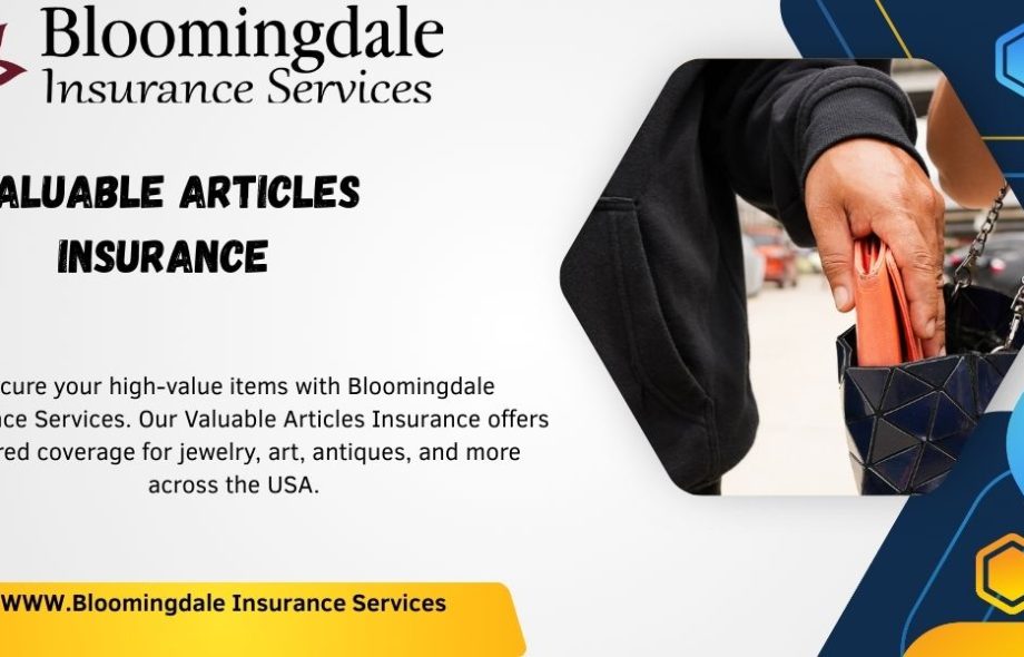 Valuable Articles Insurance