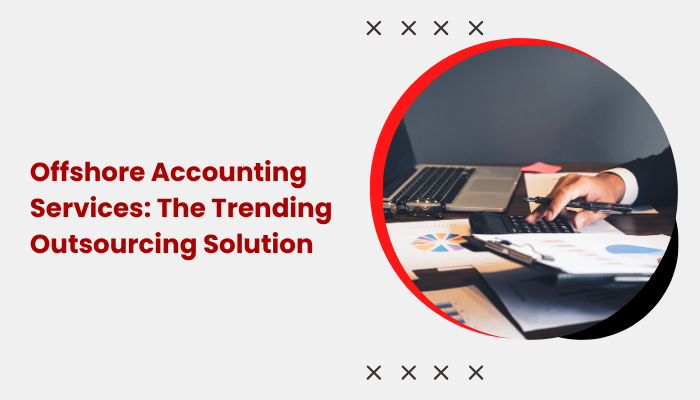 offshore accounting services professionals managing international financial data