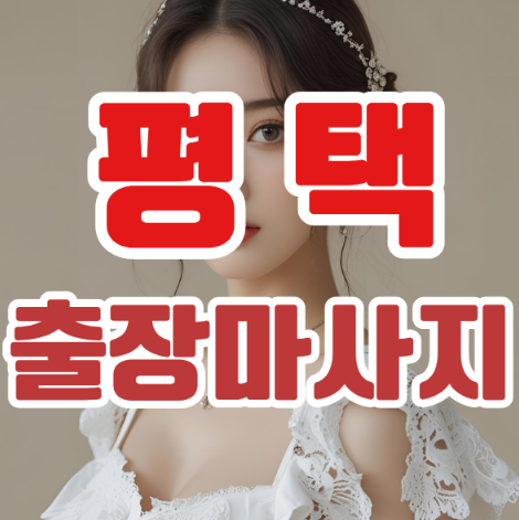 평택출장마사지