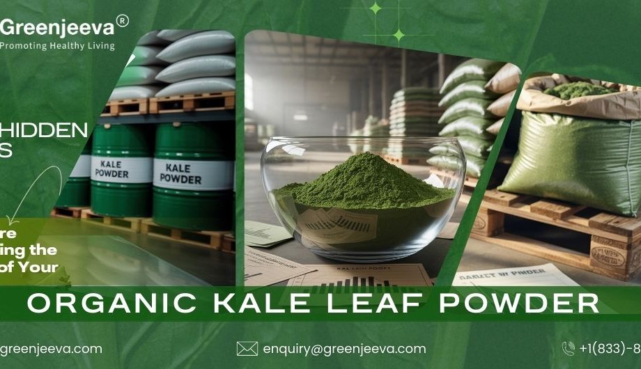 kale leaf powder supplier,