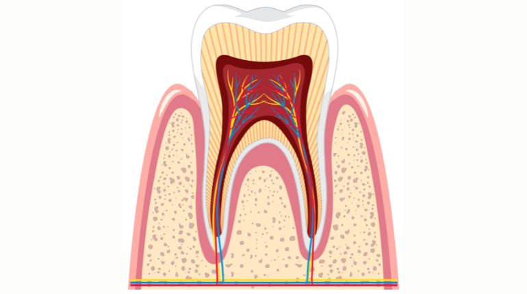 Root Canal Treatment in Ahmedabad